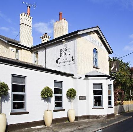 شقة The Dog And Duck Suffolk وودبريدج المظهر الخارجي الصورة